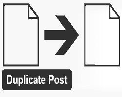 Описание работы плагина Duplicate Post