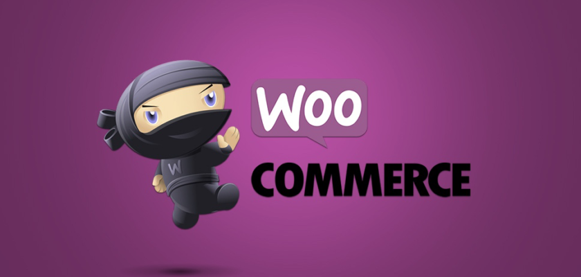 Checkout на WooCommerce: как убрать лишние поля из формы